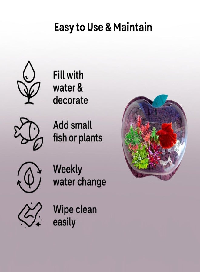 حوض سمك جداري على شكل تفاحة نبيذية مقاس 9 بوصات - بدون قاعدة | حوض أسماك عصري للمنزل والمكتب والمقهى | تصميم موفر للمساحة | حوض سمك أنيق وحوض نباتات زجاجي | تصميم صغير الحجم - Image 5